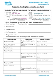 Worksheets for kids - possessive-apostrophes-singular-or-plural